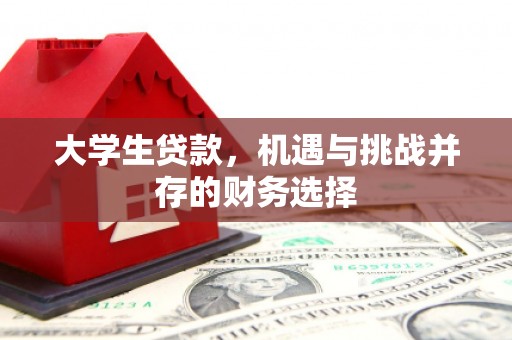 双柏大学生贷款，机遇与挑战并存的财务选择