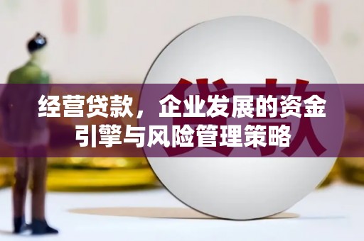 宽甸经营贷款，企业发展的资金引擎与风险管理策略