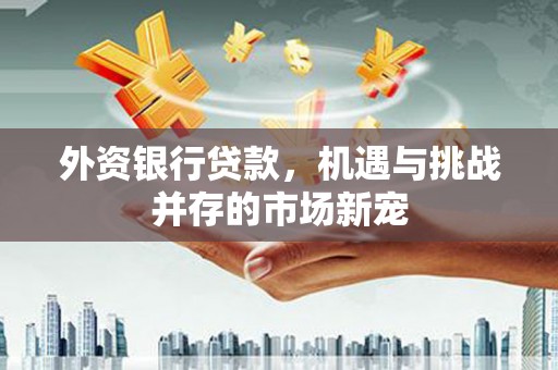 禄劝外资银行贷款，机遇与挑战并存的市场新宠