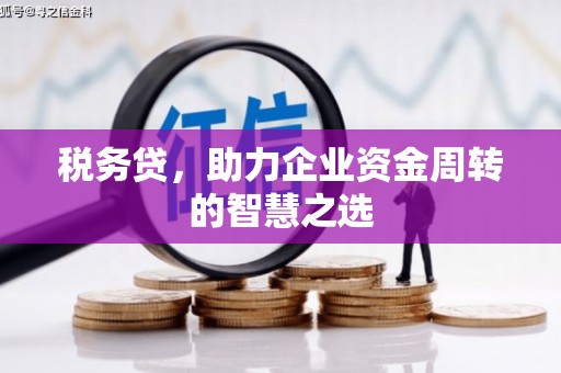伊春税务贷，助力企业资金周转的智慧之选