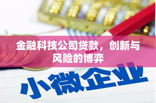 罗定金融科技公司贷款，创新与风险的博弈