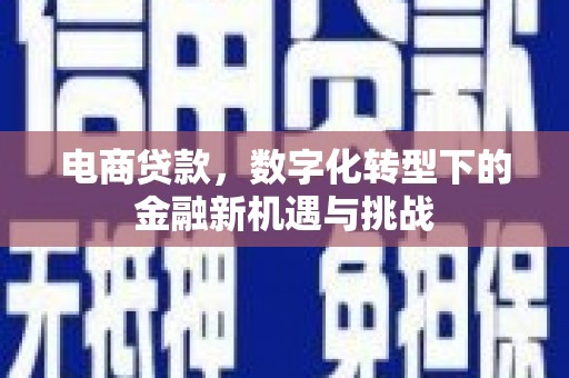 延庆电商贷款，数字化转型下的金融新机遇与挑战