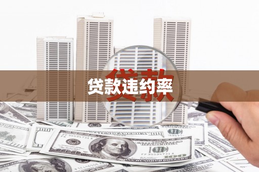 三亚贷款违约率