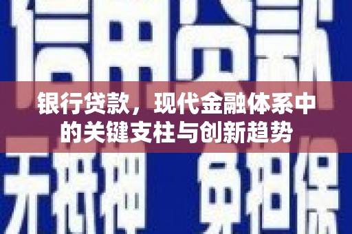 东乡族银行贷款，现代金融体系中的关键支柱与创新趋势