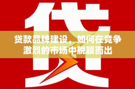 峨边贷款品牌建设，如何在竞争激烈的市场中脱颖而出