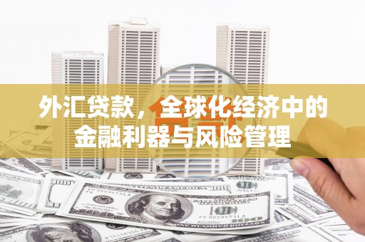 张北外汇贷款，全球化经济中的金融利器与风险管理