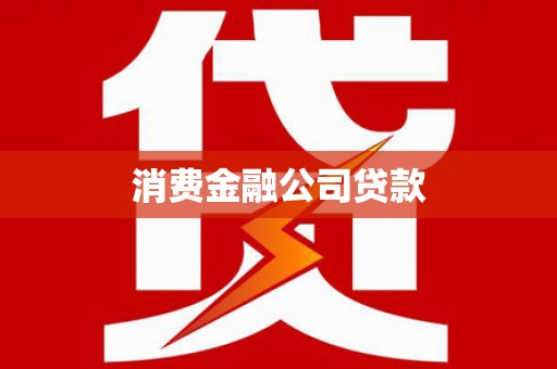 文圣消费金融公司贷款