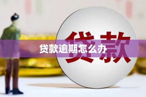 张家川贷款逾期怎么办