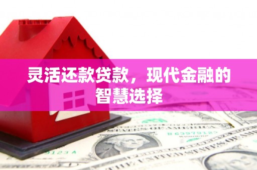 沈河灵活还款贷款，现代金融的智慧选择