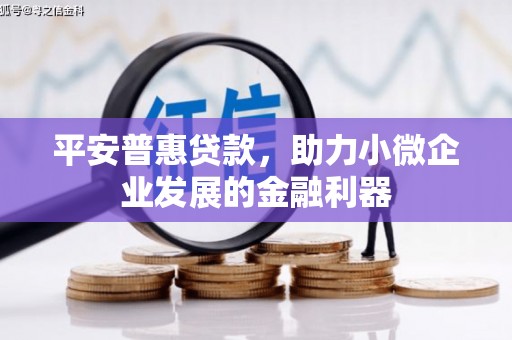 汤原平安普惠贷款，助力小微企业发展的金融利器