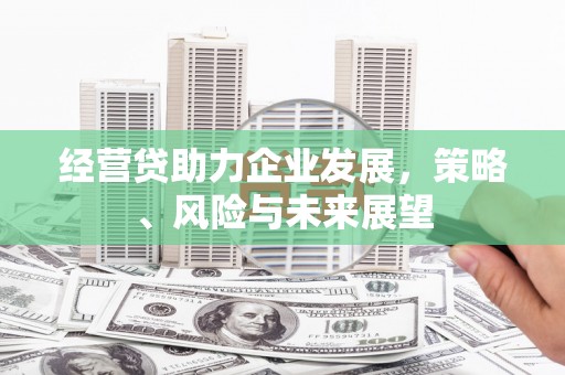 巴林左旗经营贷助力企业发展，策略、风险与未来展望