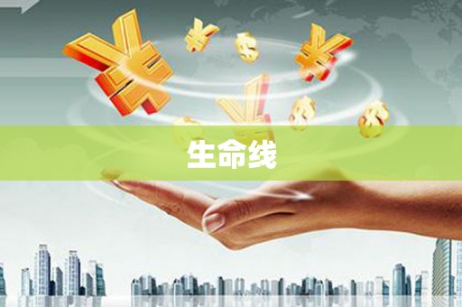 浦江生命线