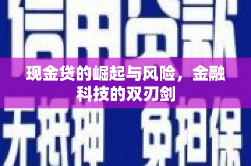 海安现金贷的崛起与风险，金融科技的双刃剑