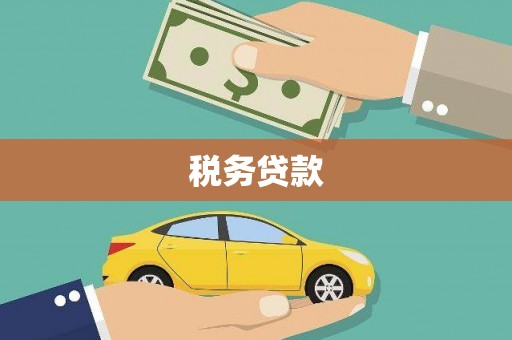 唐县税务贷款
