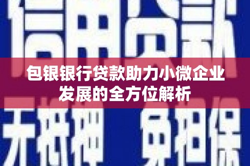 阜康包银银行贷款助力小微企业发展的全方位解析