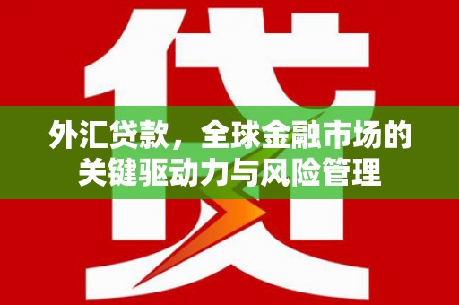 茄萣外汇贷款，全球金融市场的关键驱动力与风险管理