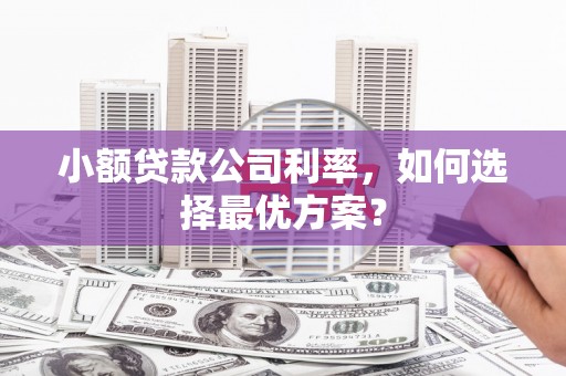 芦洲小额贷款公司利率，如何选择最优方案？