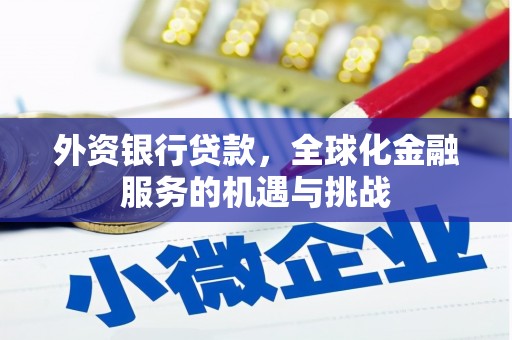 宜良外资银行贷款，全球化金融服务的机遇与挑战