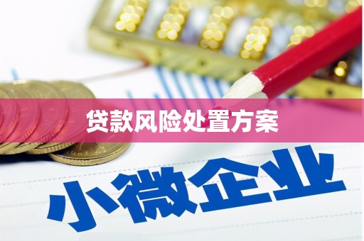 台西贷款风险处置方案