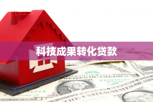 黄陂科技成果转化贷款