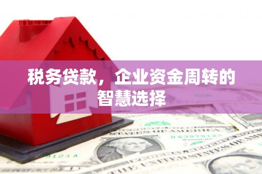 威宁税务贷款，企业资金周转的智慧选择