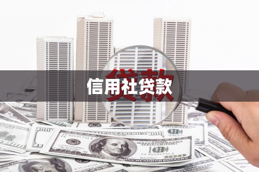 舞钢信用社贷款