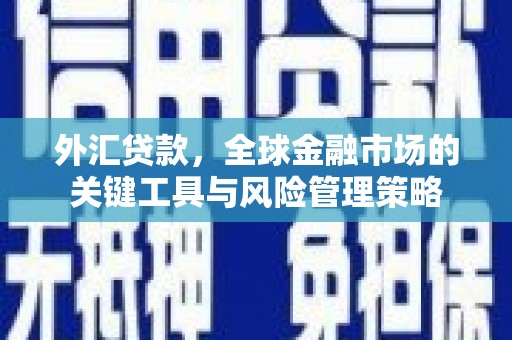 浦东外汇贷款，全球金融市场的关键工具与风险管理策略