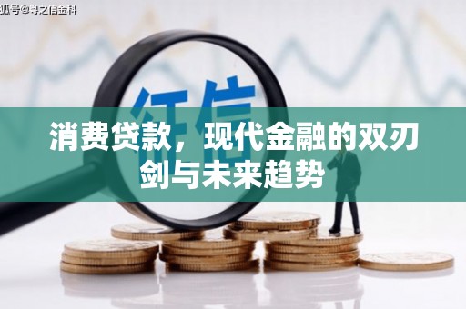 桃园消费贷款，现代金融的双刃剑与未来趋势