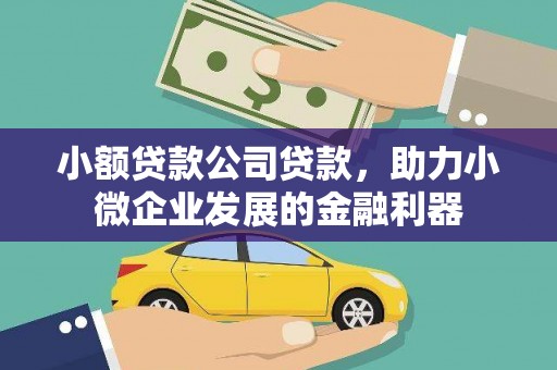 杏花岭小额贷款公司贷款，助力小微企业发展的金融利器