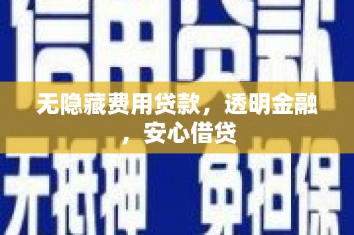 漳县无隐藏费用贷款，透明金融，安心借贷