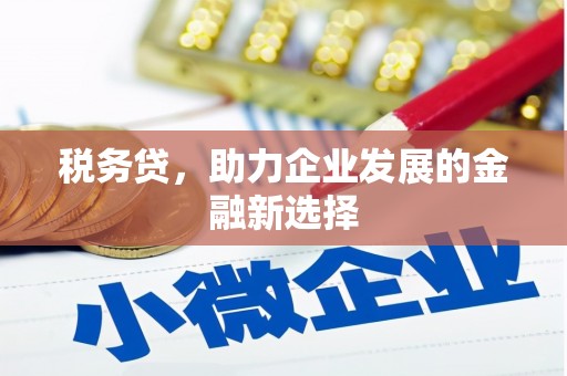 桦川税务贷，助力企业发展的金融新选择