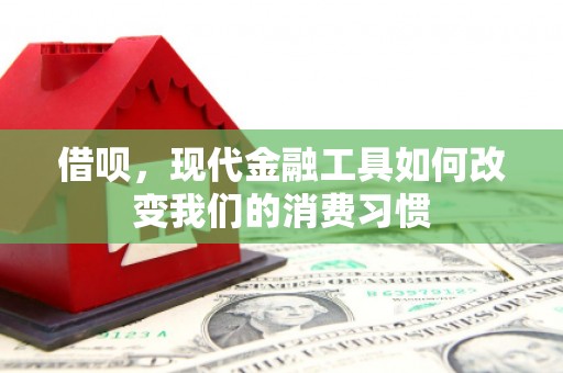 沧县借呗，现代金融工具如何改变我们的消费习惯