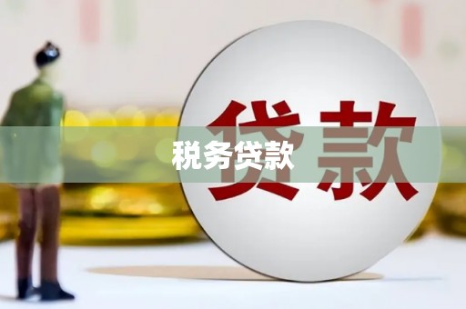 界首税务贷款