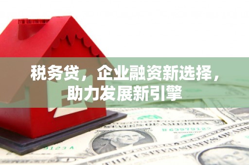 大观税务贷，企业融资新选择，助力发展新引擎