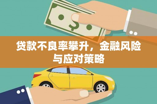 武鸣贷款不良率攀升，金融风险与应对策略