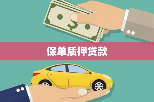 清镇保单质押贷款