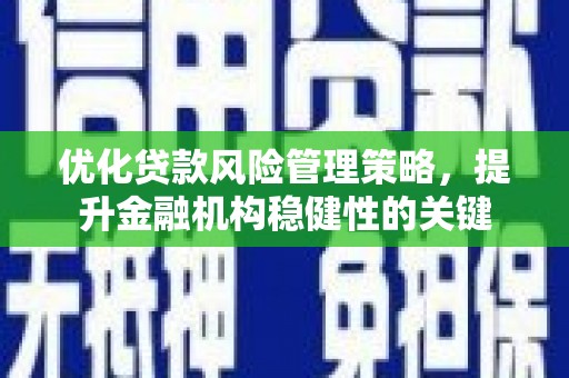 滨州优化贷款风险管理策略，提升金融机构稳健性的关键