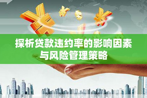 孝昌探析贷款违约率的影响因素与风险管理策略