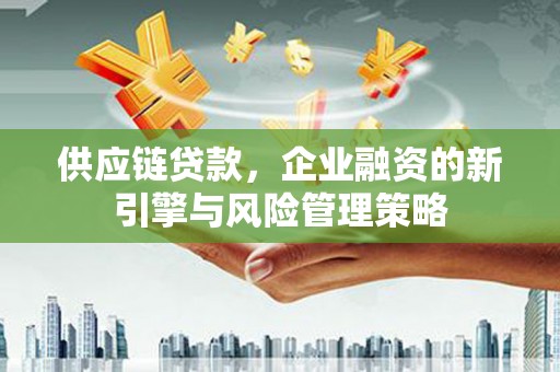 鱼池供应链贷款，企业融资的新引擎与风险管理策略