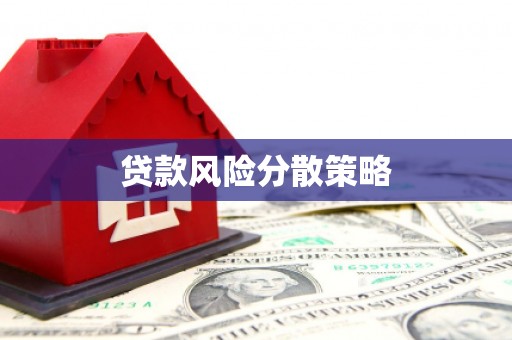 带岭贷款风险分散策略