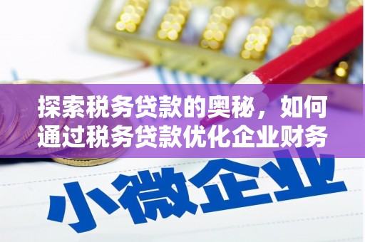 天心探索税务贷款的奥秘，如何通过税务贷款优化企业财务