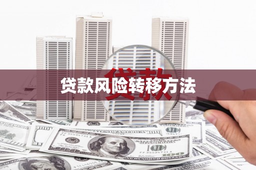 大洼贷款风险转移方法