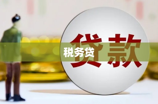 南召税务贷
