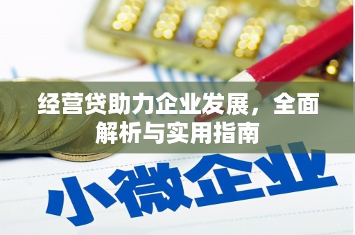 新县经营贷助力企业发展，全面解析与实用指南