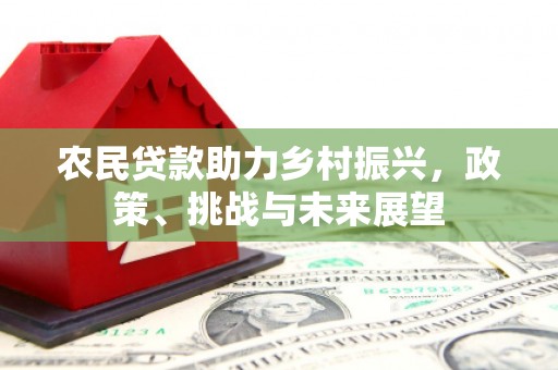 文峰农民贷款助力乡村振兴，政策、挑战与未来展望