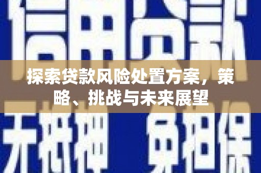 墨竹工卡探索贷款风险处置方案，策略、挑战与未来展望