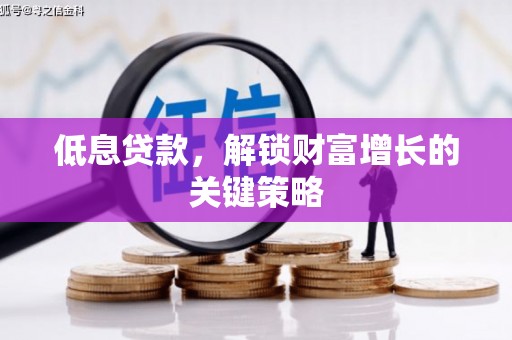 土库低息贷款，解锁财富增长的关键策略