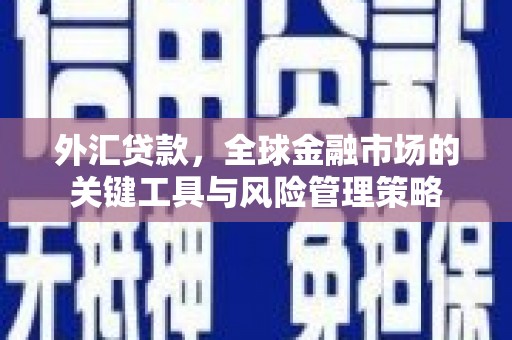 龙潭外汇贷款，全球金融市场的关键工具与风险管理策略