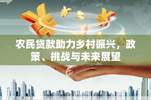 学甲农民贷款助力乡村振兴，政策、挑战与未来展望