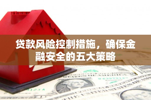 内湖贷款风险控制措施，确保金融安全的五大策略